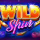 Wild Spin